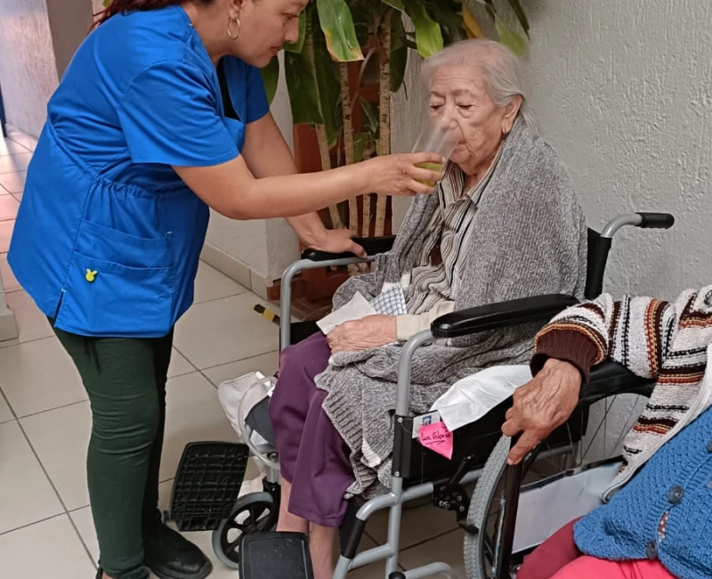 Cuidados del adulto mayor en guadalajara